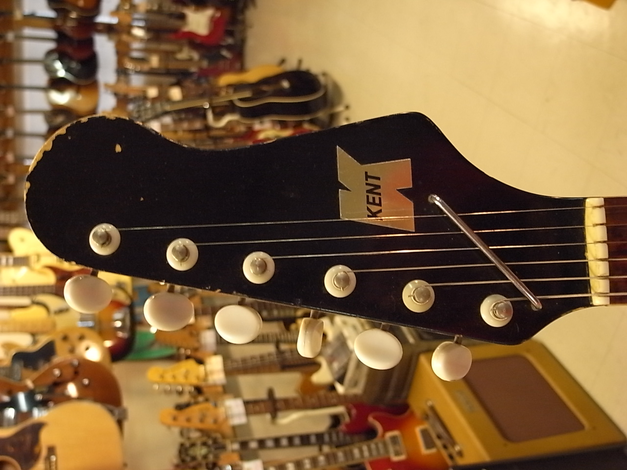 KENT COPA: It's a Bizarre World.