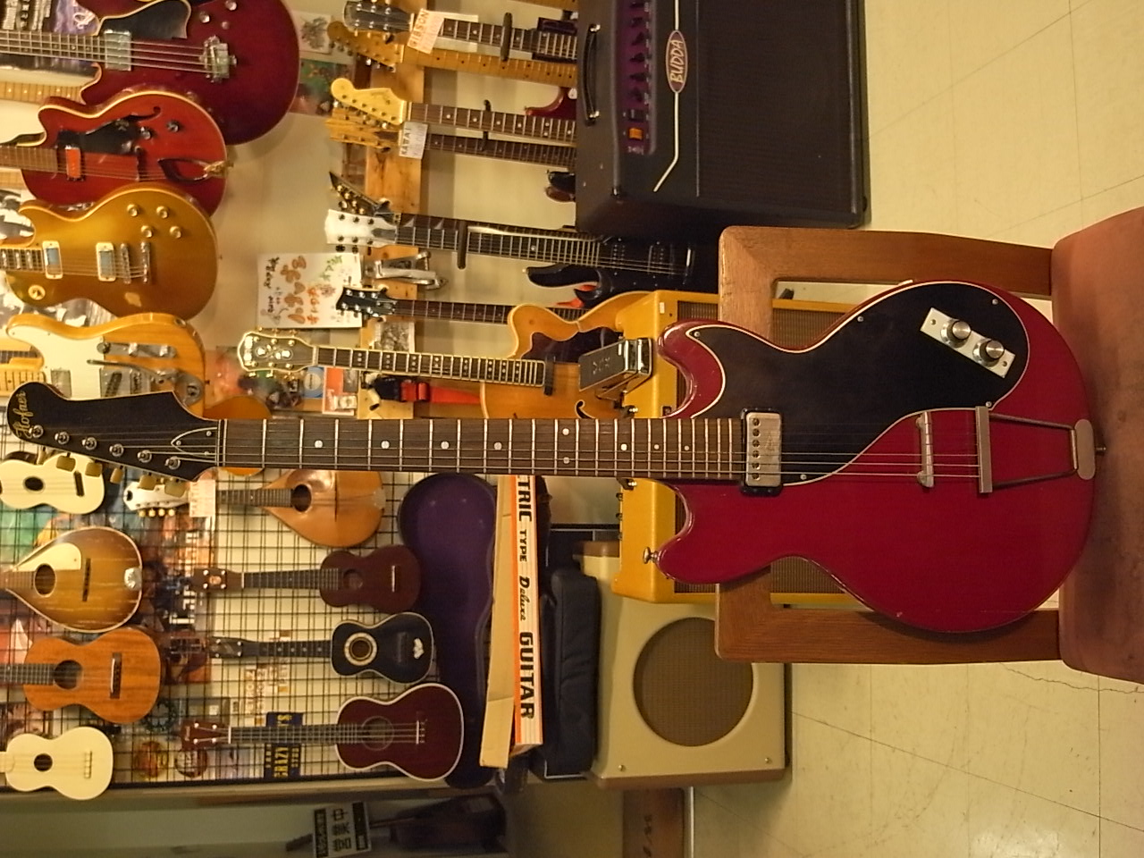 Hofner COROLAMA: It's a Bizarre World.